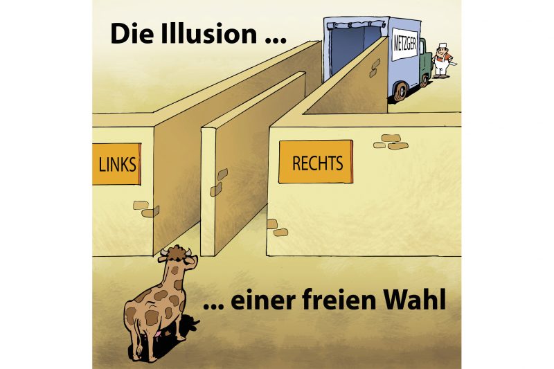 Read more about the article Zu guter Letzt – Wahlillusion