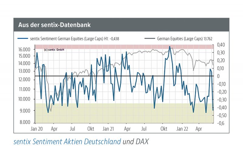 Read more about the article Anzeichen von Panik