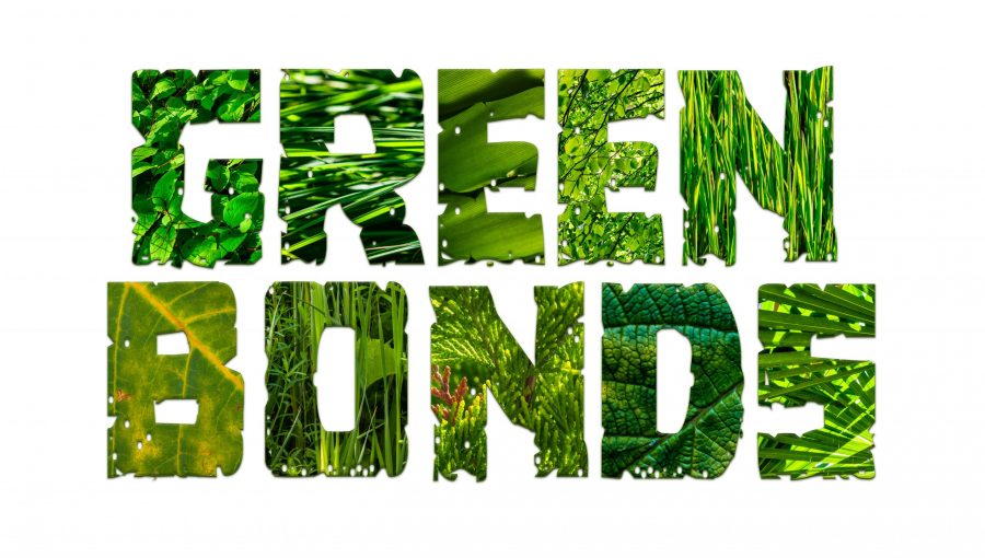 Read more about the article Green Bonds – Zinsen mit gutem Gewissen
