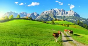 Unentdeckte Alpenschätze